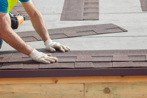 Best Roof Ventilation Installation  in Spring Creek, NV